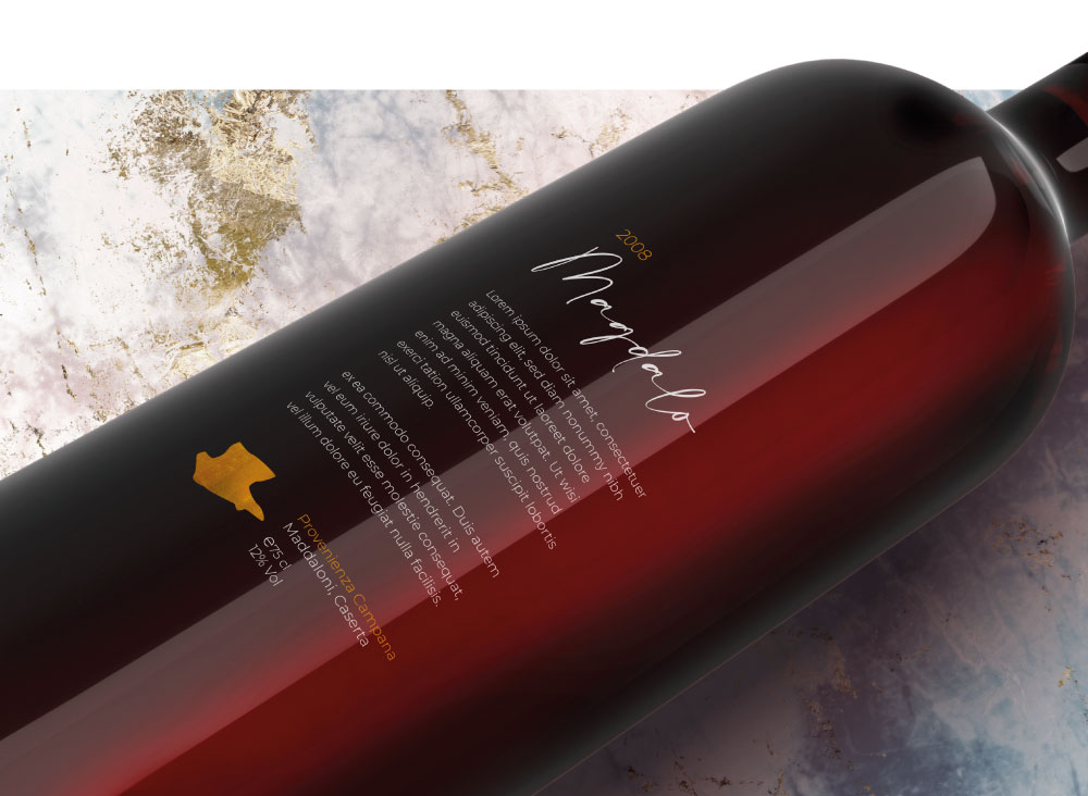 esempio retro bottiglia vino